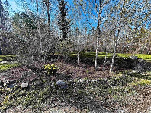 41 Thomas Street, Enfield, NS 