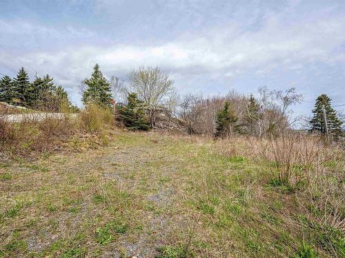 59 Devils Hill Road, Fergusons Cove, NS 