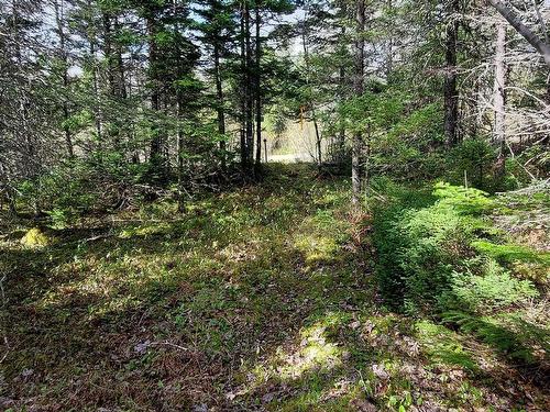 Lot 8 Evanston Rd, Evanston, NS 