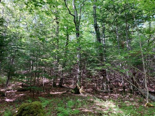 Lot 8 Evanston Rd, Evanston, NS 