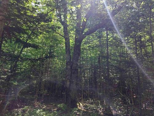Lot 8 Evanston Rd, Evanston, NS 
