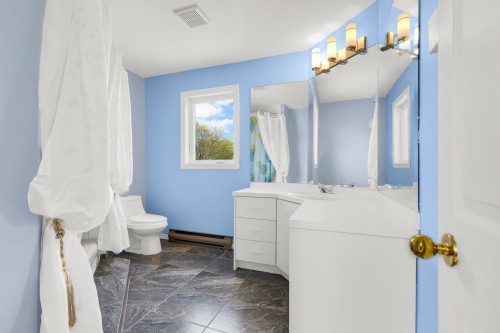 Salle de bains - 577 Rue Sauriol, Saint-Eustache, QC - Indoor Photo Showing Bathroom