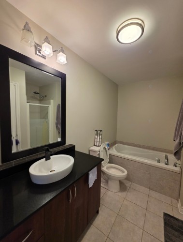 Bathroom - 4-5645 Boul. Chevrier, Brossard, QC - Indoor Photo Showing Bathroom