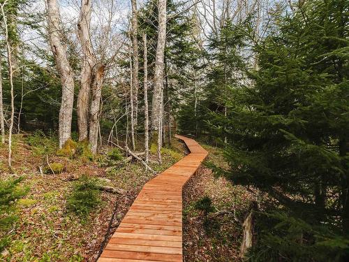 Maple Island, Plymouth, NS - Outdoor