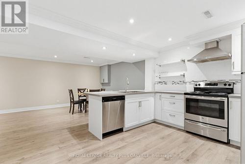 Second kitchen - 67 Honeysuckle Crescent, Hamilton, ON - Indoor Photo Showing Kitchen With Upgraded Kitchen