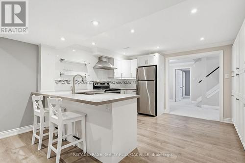 Second kitchen - 67 Honeysuckle Crescent, Hamilton, ON - Indoor Photo Showing Kitchen With Upgraded Kitchen