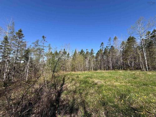 91 Timber Drive, Enfield, NS 