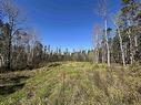 91 Timber Drive, Enfield, NS 