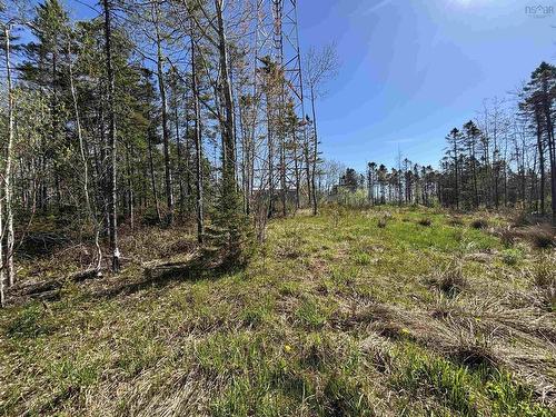 91 Timber Drive, Enfield, NS 
