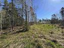 91 Timber Drive, Enfield, NS 