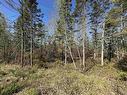 91 Timber Drive, Enfield, NS 