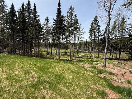 6239 Route 111, Jeffries Corner, NB 