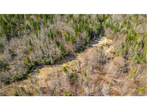Lot 00 Frye Rd, Chamcook, NB 
