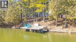 Dock area featuring a water view and view of scattered trees - 