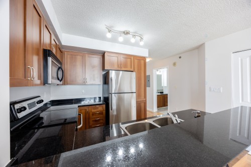 Kitchen - 802-1280 Rue St-Jacques, Montréal (Ville-Marie), QC - Indoor Photo Showing Kitchen With Double Sink