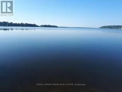 Lake View - 