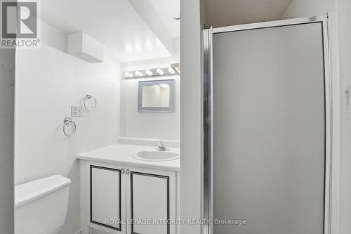 Basement 3pc bath - 2133 Lenester Avenue, Ottawa, ON - Indoor Photo Showing Bathroom