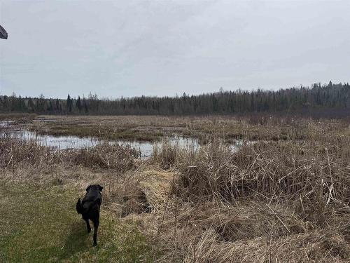 80 Wheal Road E, Thunder Bay, ON - Outdoor With View