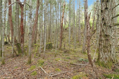 730 Emma Dixon Rd, Highlands, BC 
