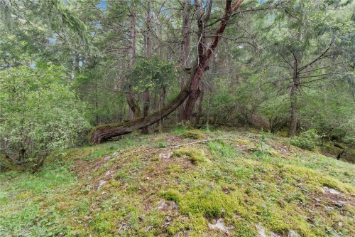 730 Emma Dixon Rd, Highlands, BC 