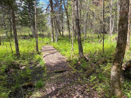 Autre - Ch. De La Nature, La Macaza, QC 
