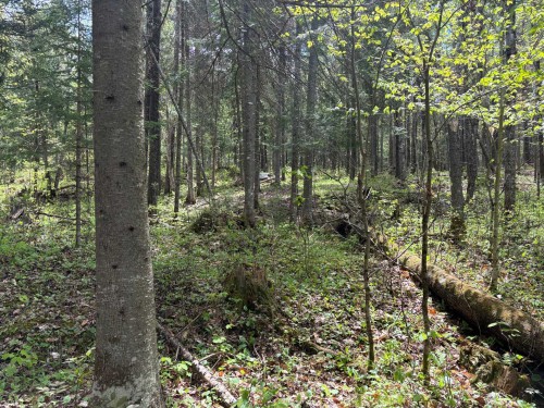 Autre - Ch. De La Nature, La Macaza, QC 