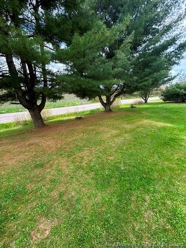 709 Back Rd, Penobsquis, NB 