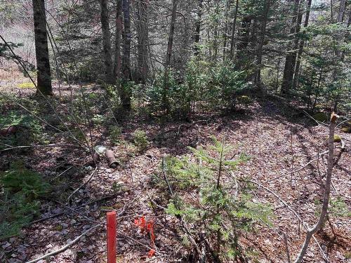 Lot 2 Beech Hill Road, Hunts Point, NS 