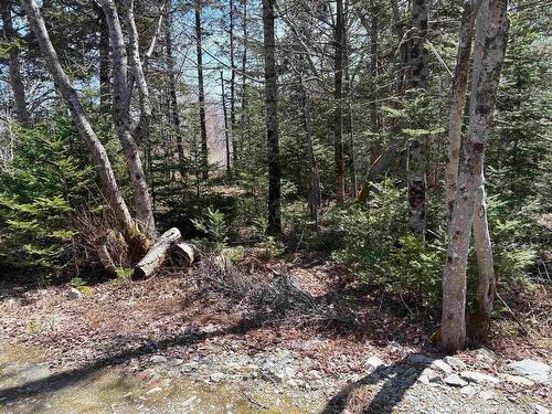 Lot 2 Beech Hill Road, Hunts Point, NS 
