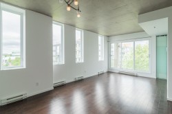 Living Room - 
