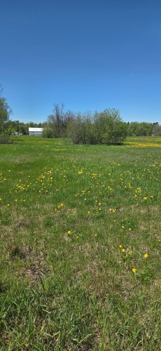 Terre/Terrain - Boul. Ste-Sophie, Sainte-Sophie, QC 