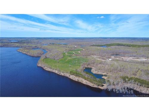 - Chapman Rd, Newcastle Centre, NB 
