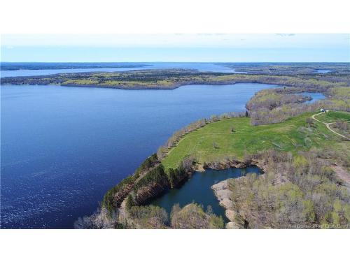 - Chapman Rd, Newcastle Centre, NB 