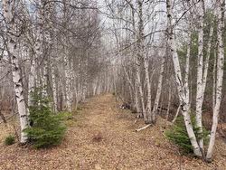 Lots McLaughlin Road Pine Ridge, NB E4W 3S6