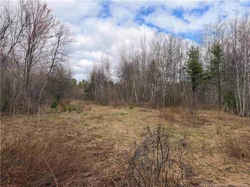 Lots Mclaughlin Road, Pine Ridge, NB 