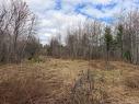 Lots Mclaughlin Road, Pine Ridge, NB 