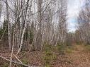 Lots Mclaughlin Road, Pine Ridge, NB 