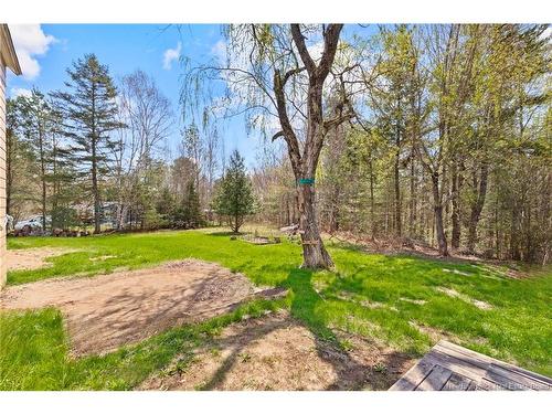 57 Diamond Dr, Minto, NB 