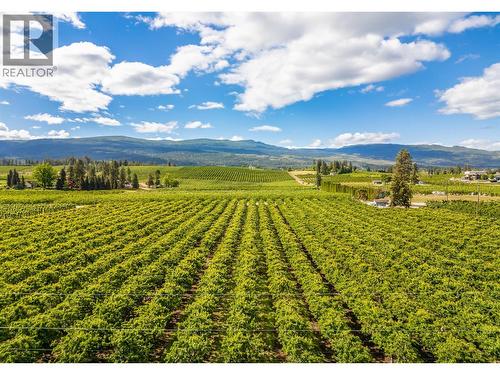 3520 Fitzgerald Road, Kelowna, BC - Outdoor With View