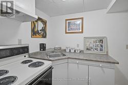 lower level kitchenette - 