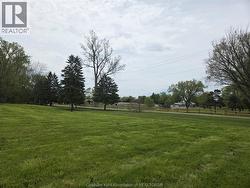 50 INDIAN CREEK ROAD West Chatham, ON N7M 2E1