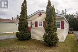 25 Curtiss Avenue Gander, NL None