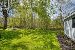 Beautiful treed lot - 
