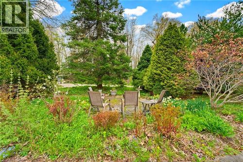 Lush garden area featuring mature evergreen trees and diverse plantings - 10 Huisman Lane, Hamilton, ON - Outdoor