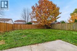 Expansive grassy yard with full privacy fencing and a mature tree - 