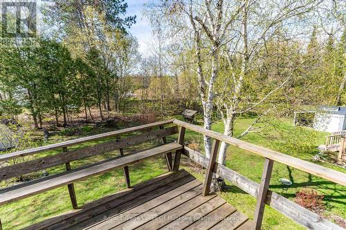 View of backyard - 555 Wagner Street, Gravenhurst (Muskoka (S)), ON - Outdoor