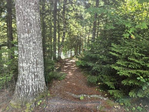 76 Duncan Drive, Earltown, NS 