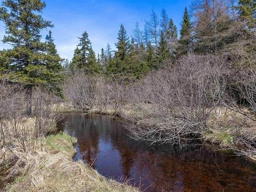 4603 Gabarus Highway, Big Ridge, NS 