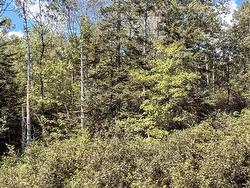 Lot 2-79 East Uniacke Road  East Uniacke, NS B0N 1Z0