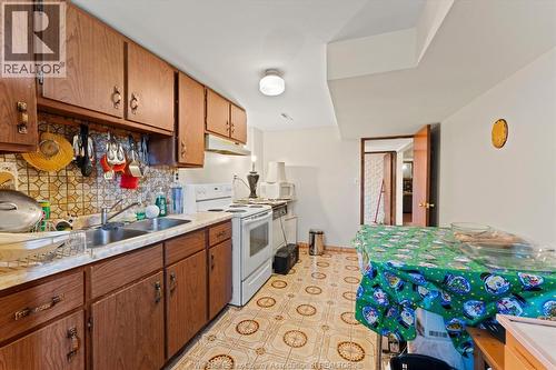 10575 Mulberry Drive, Windsor, ON - Indoor Photo Showing Kitchen With Double Sink